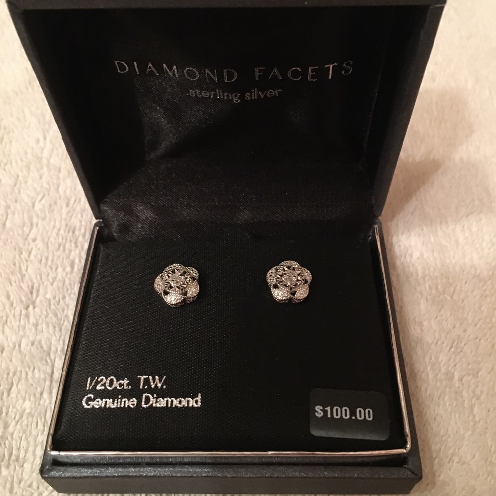 Diamond Facets silver earrings